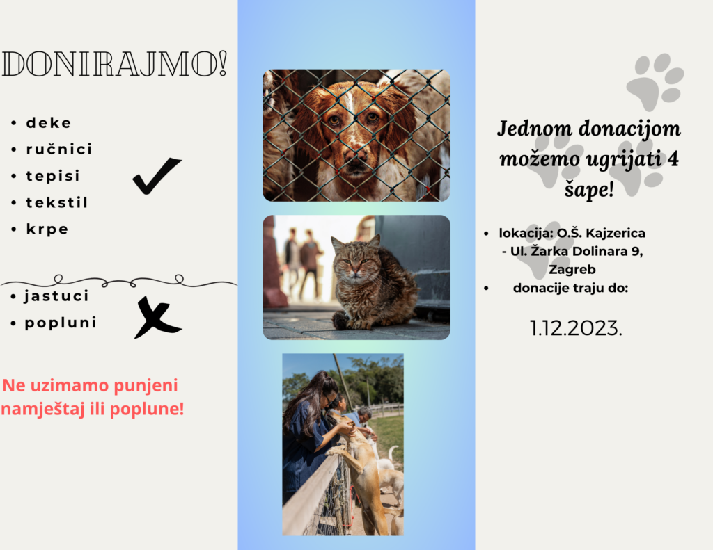 MicrosoftTeams Image Letak5 1024x791