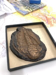 Roditelj Radionica8 225x300