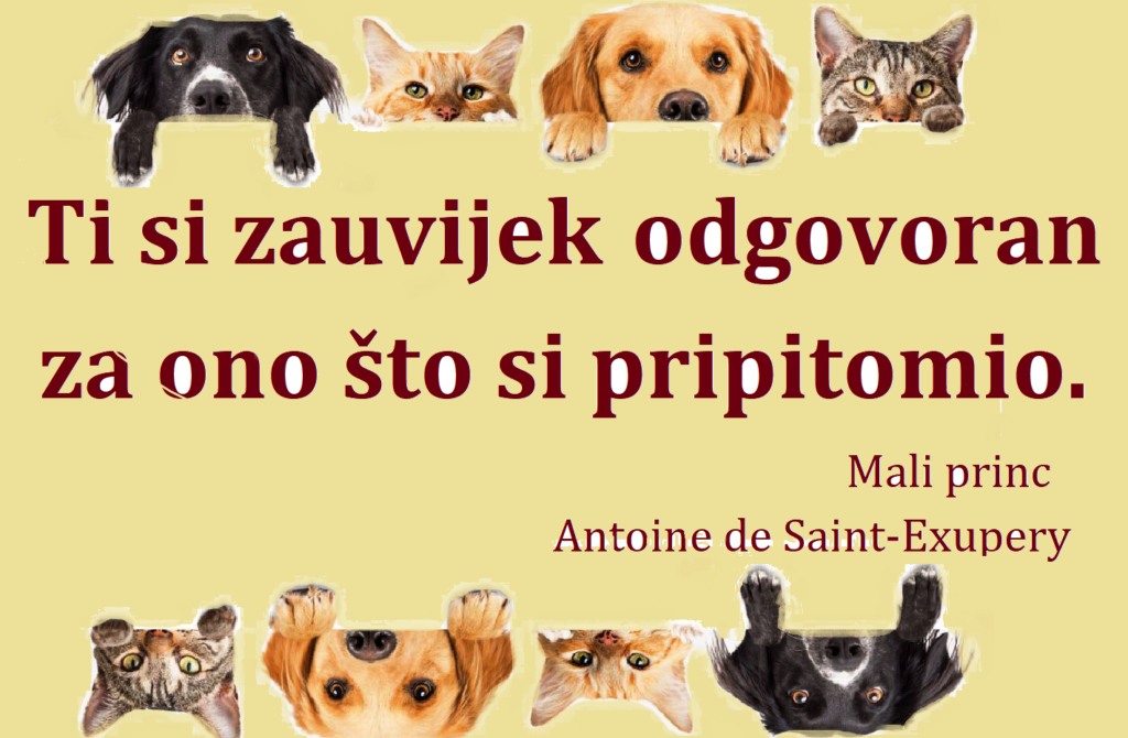 Ti Si Odgovoran. Web 1 1024x670