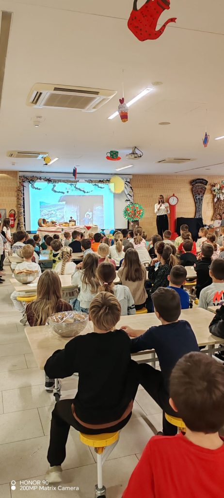 WhatsApp Image 2025 11 05 At 17.09.24 6 462x1024