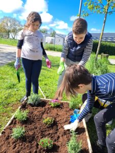 Slika 20230425 083424 9eae8567 225x300