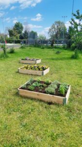 Slika 20230426 161652 6c3701fe 169x300