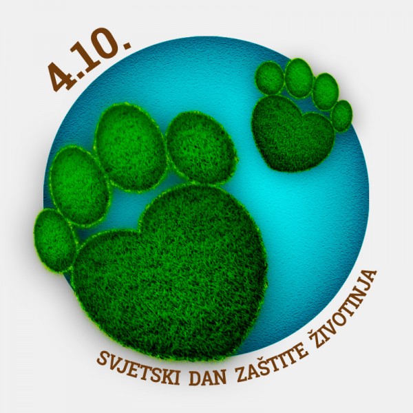 Svjetski Dan Zivotinja