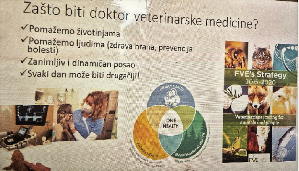 Zasto Biti Veterinar 1024x585